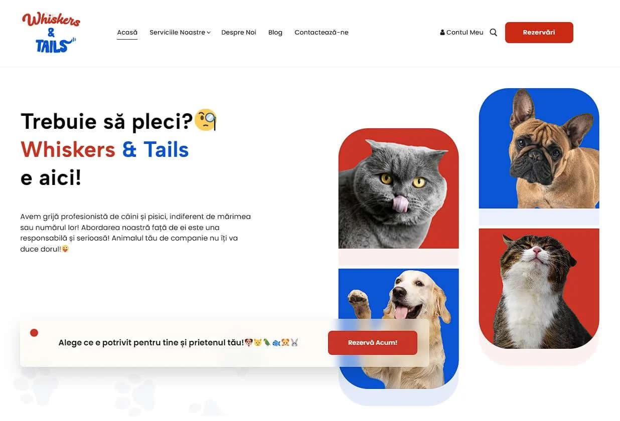 Whiskers & Tails: Servicio de pet sitting y paseo de perros hecho de principio a fin por mí: marca, contenido para redes, web con reservas y pagos.