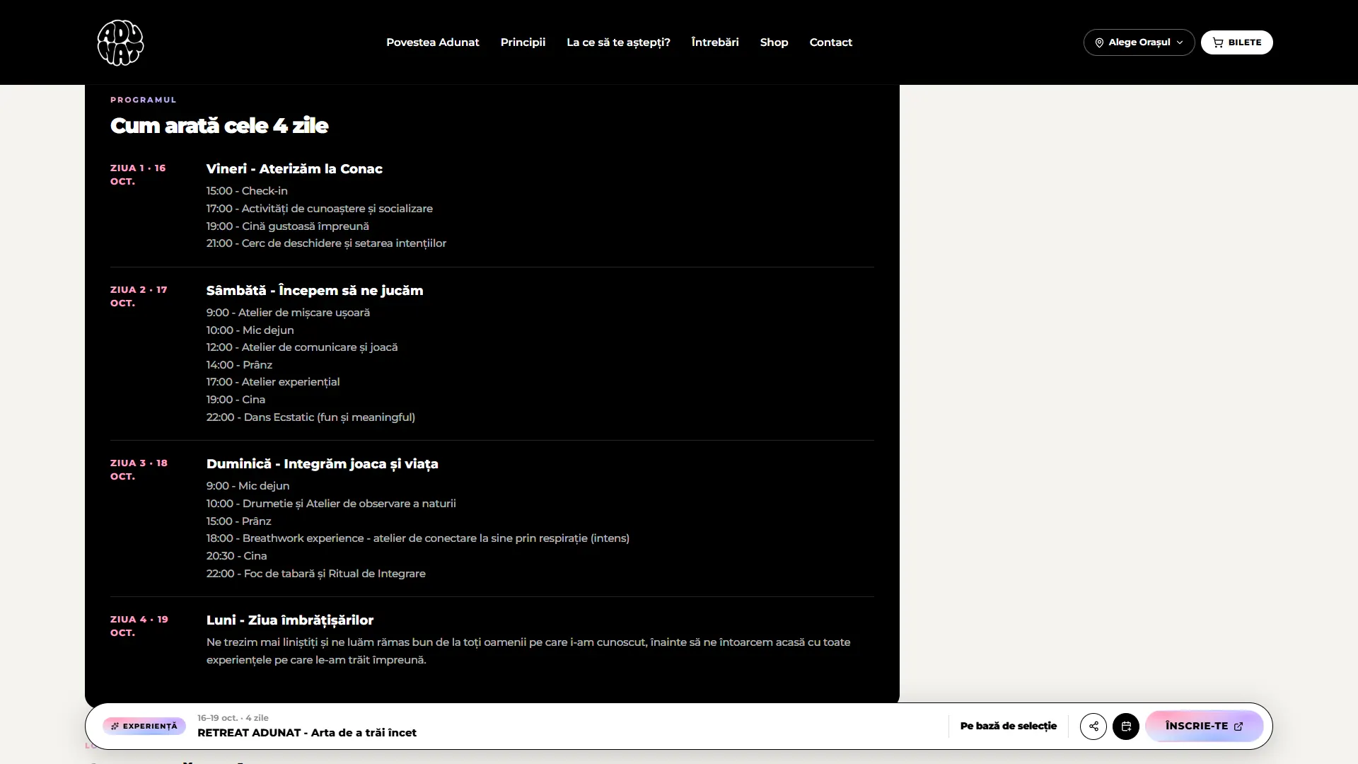 adunat.ro: Programa de la experiencia