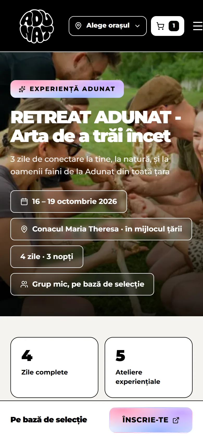 adunat.ro: Experiencia en móvil
