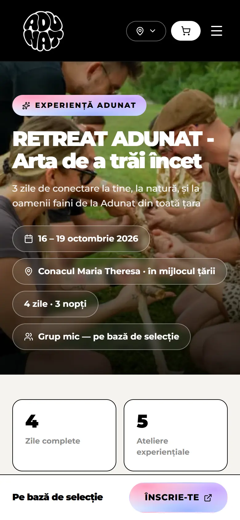 adunat.ro: Experiencia en móvil