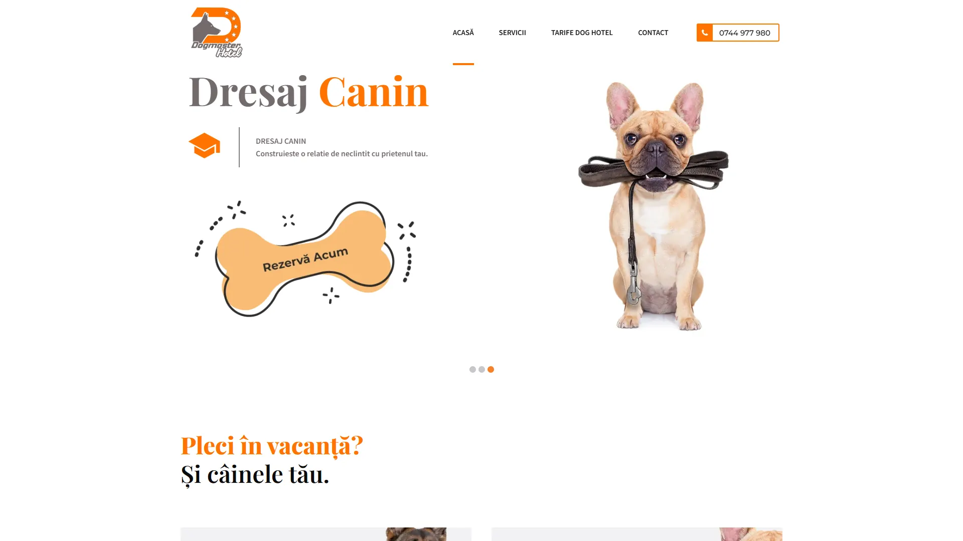 dogmaster.ro: Rediseño web y SEO para un hotel canino y escuela de adiestramiento en Cluj.