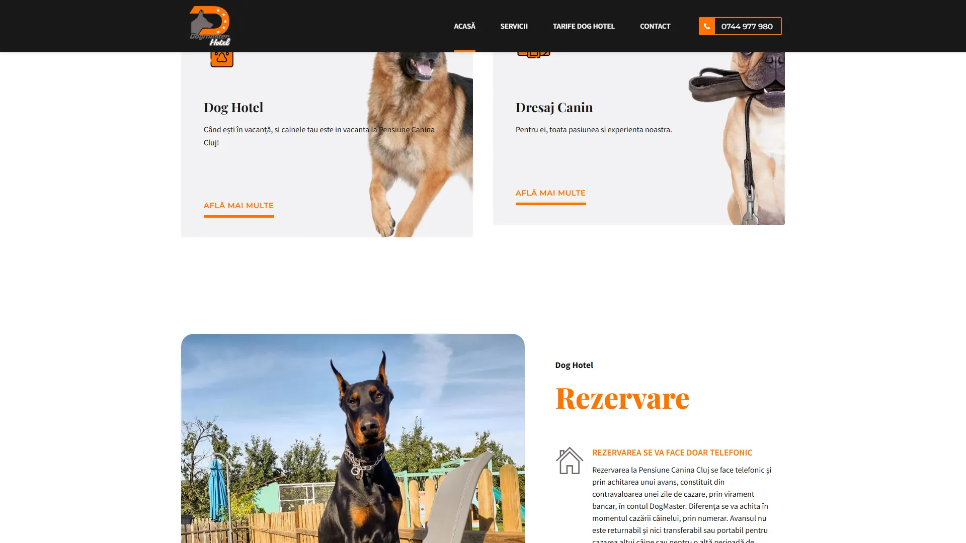 dogmaster.ro: captura de escritorio 2