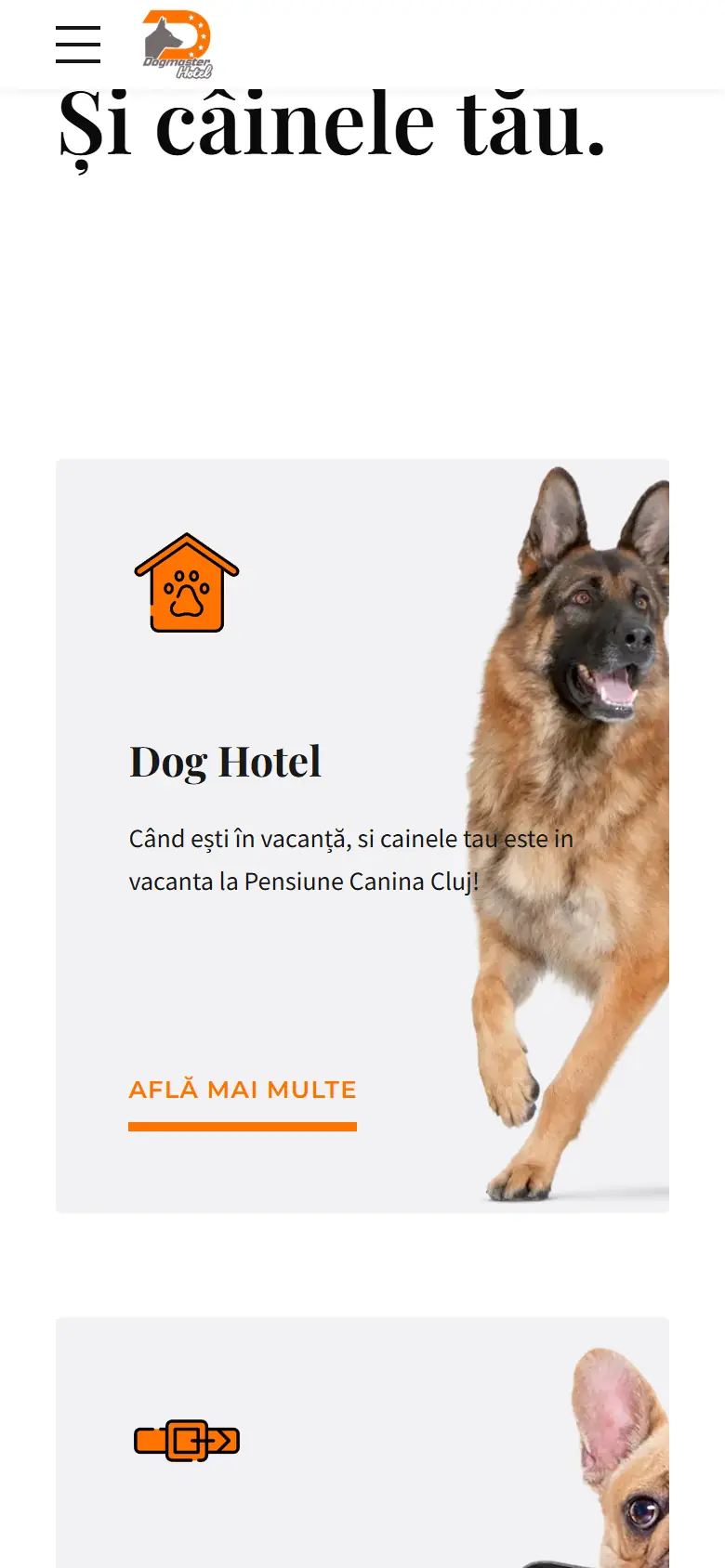 dogmaster.ro: captura en móvil 2
