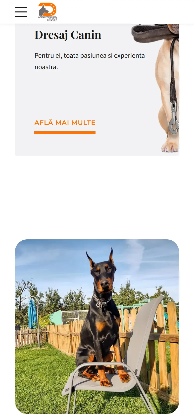 dogmaster.ro: captura en móvil 3