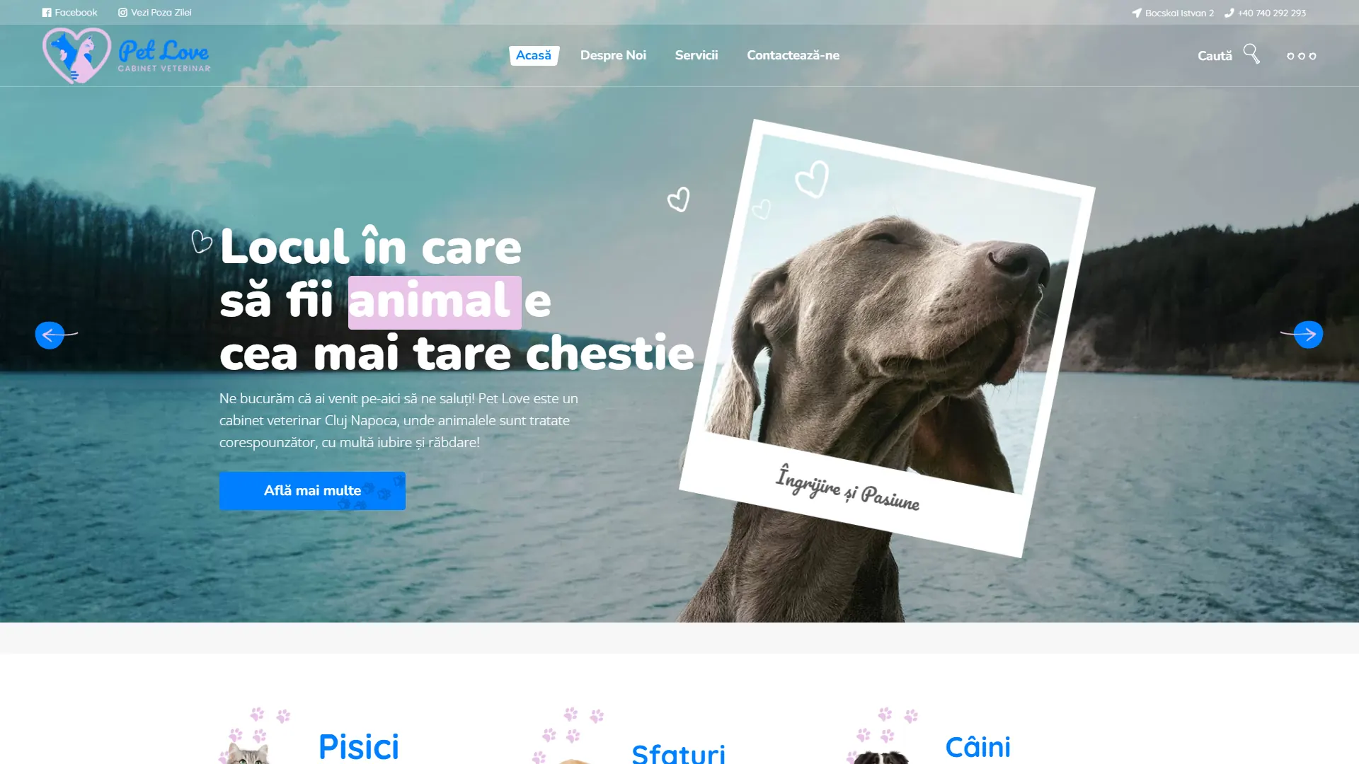 petlovecluj.ro: Marca, web y SEO para una clínica veterinaria en Cluj, posicionada en la primera página de Google.