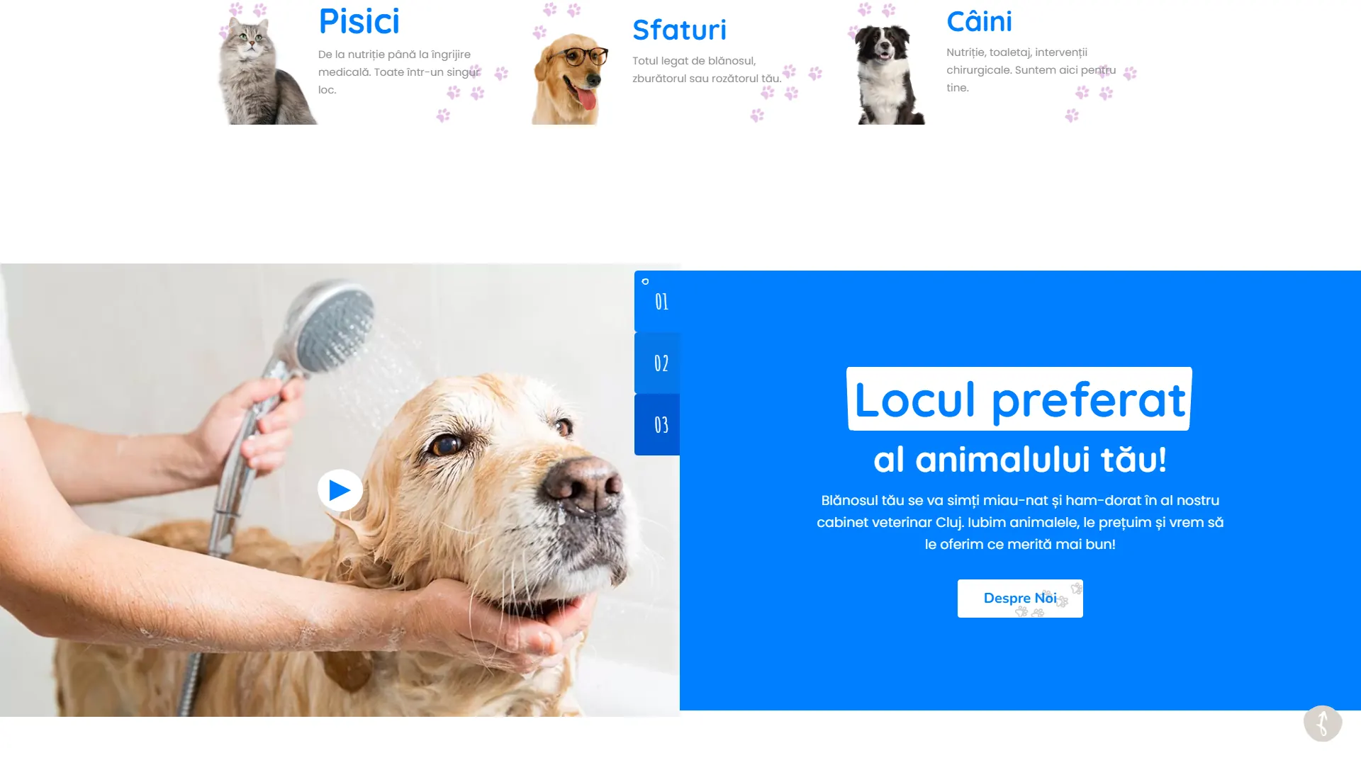 petlovecluj.ro: captura de escritorio 2