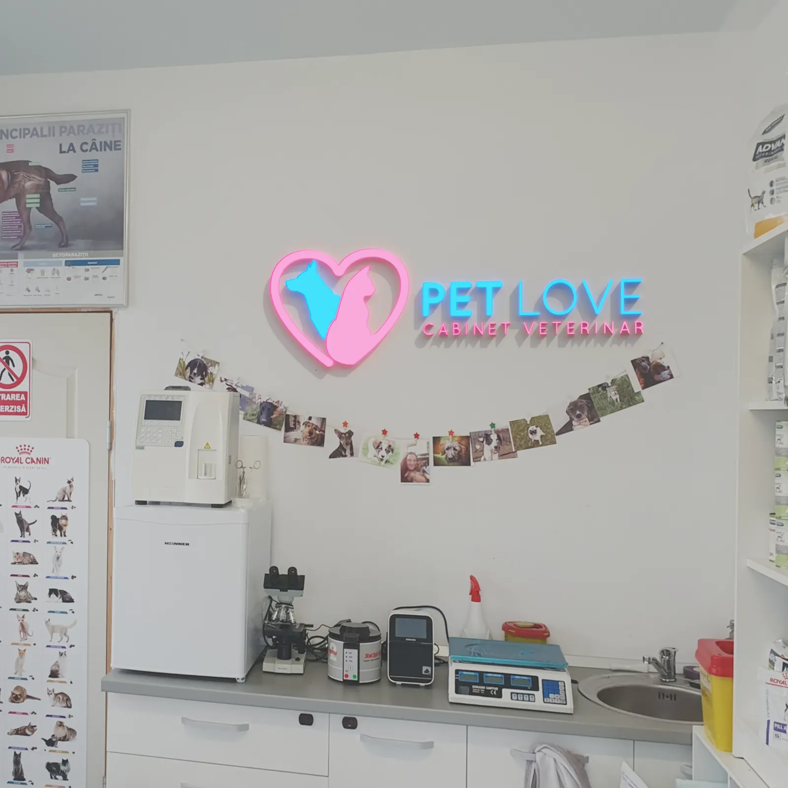 petlovecluj.ro: Logo luminoso en la clínica
