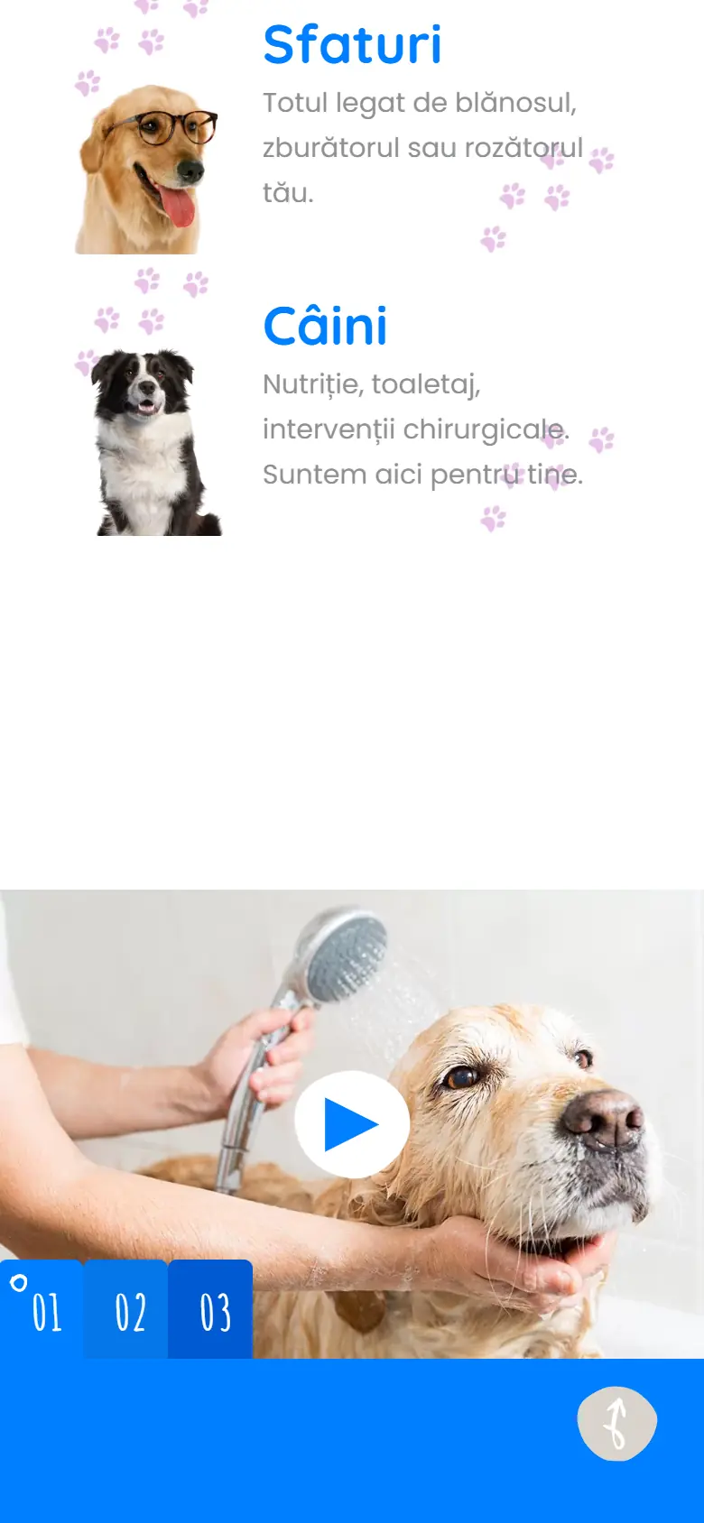 petlovecluj.ro: captura en móvil 2