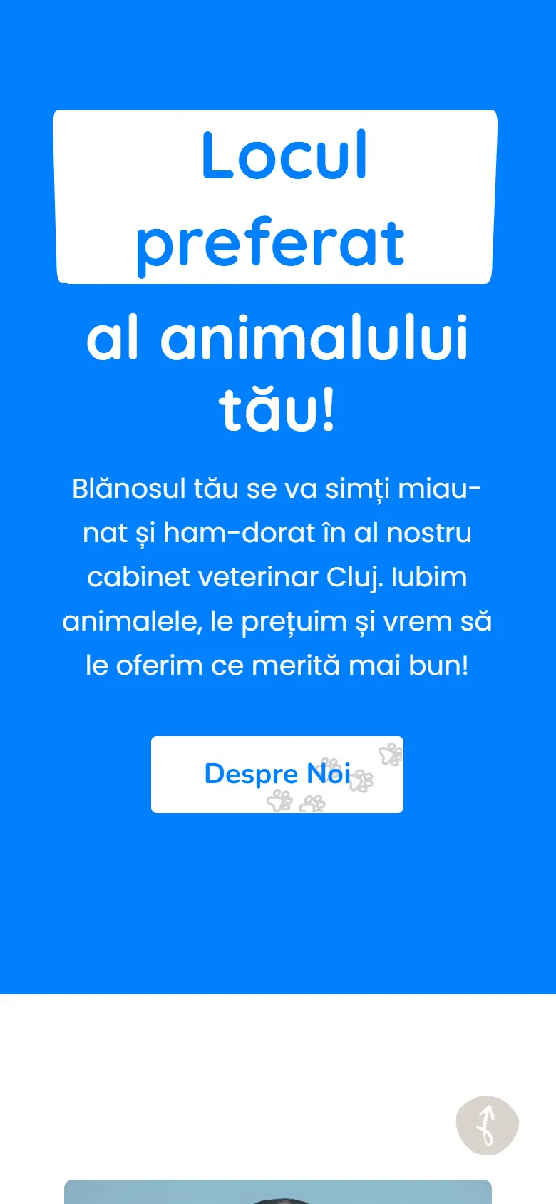 petlovecluj.ro: captura en móvil 3