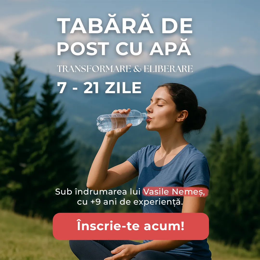 postulcuapa.ro: Creatividad para Meta Ads